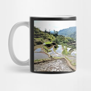 Rizières en terrasses Banaue, Philippines Mug